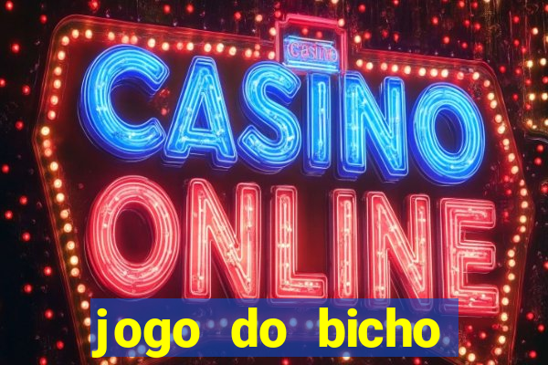 jogo do bicho crash bingo