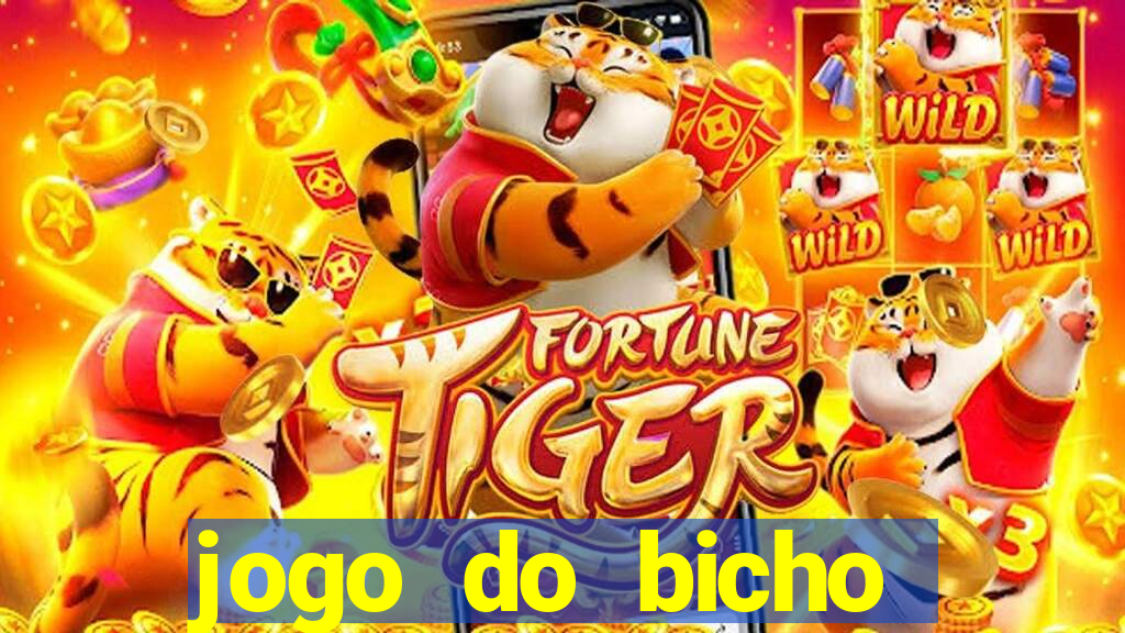 jogo do bicho crash bingo