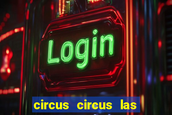 circus circus las vegas casino