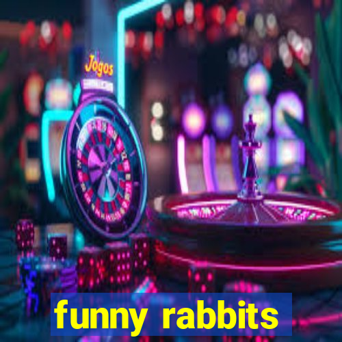 funny rabbits