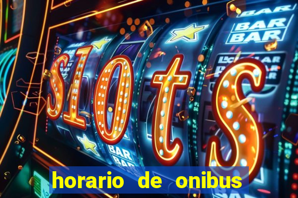 horario de onibus passaro marrom