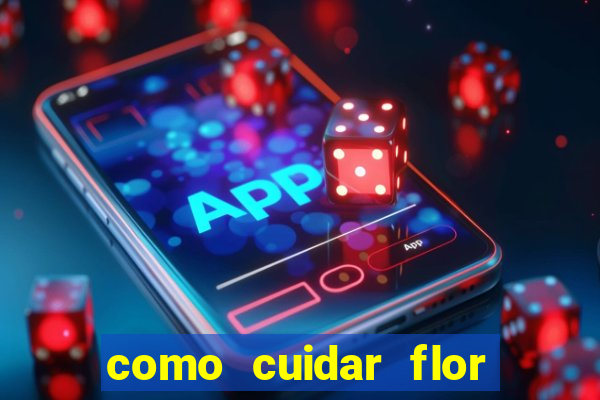 como cuidar flor da fortuna