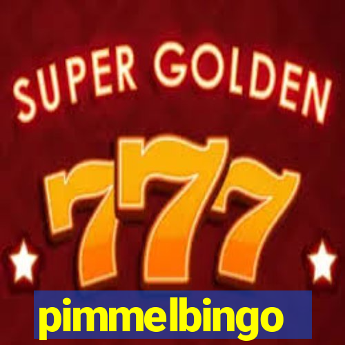 pimmelbingo