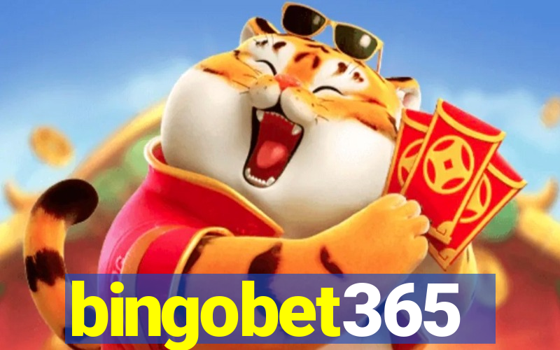 bingobet365