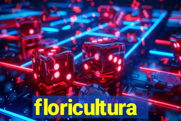 floricultura cruzeiro novo