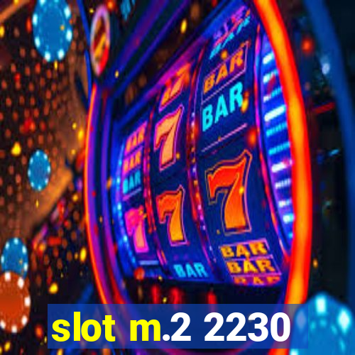 slot m.2 2230