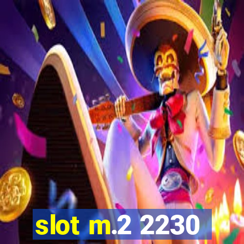 slot m.2 2230