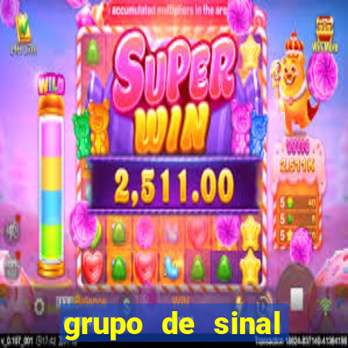 grupo de sinal fortune tiger