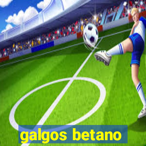 galgos betano