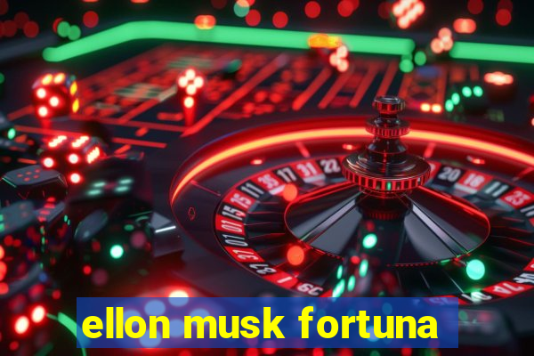 ellon musk fortuna