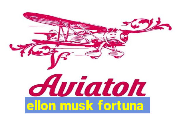 ellon musk fortuna