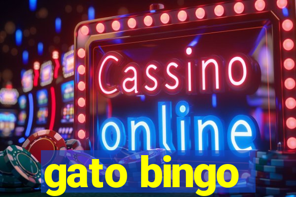 gato bingo