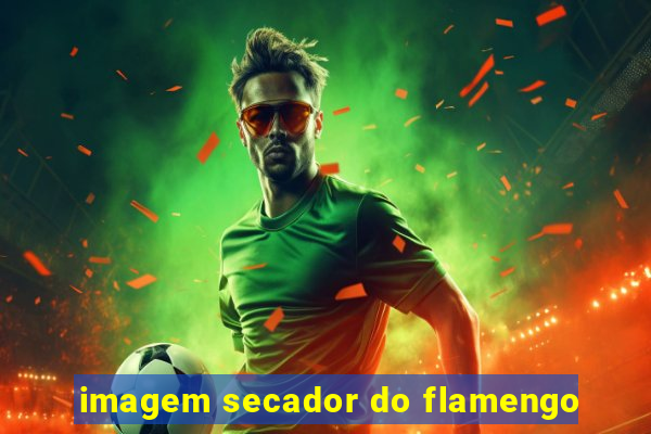 imagem secador do flamengo