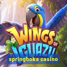 springboks casino