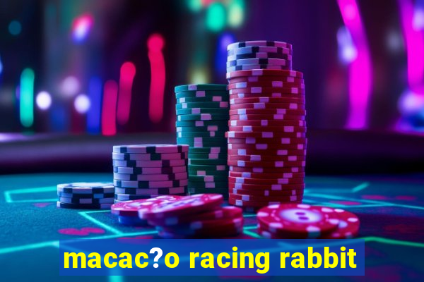 macac?o racing rabbit