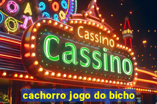 cachorro jogo do bicho