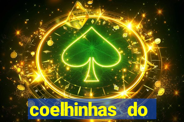 coelhinhas do brasil site