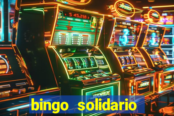 bingo solidario como organizar