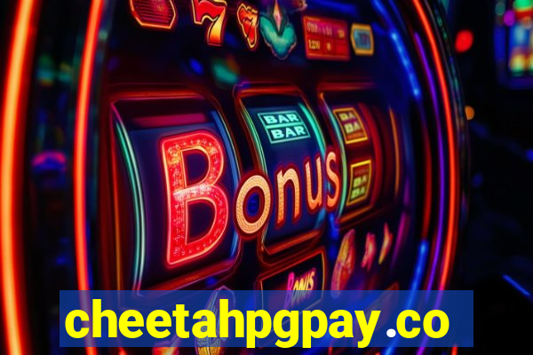 cheetahpgpay.com