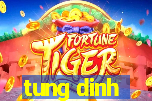 tung dinh