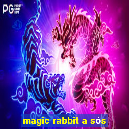 magic rabbit a sós