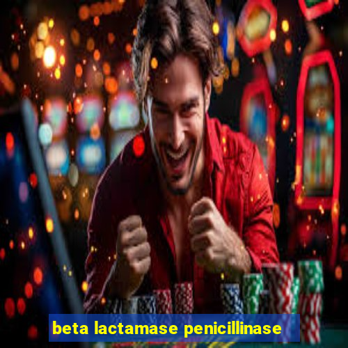 beta lactamase penicillinase