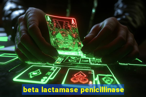 beta lactamase penicillinase