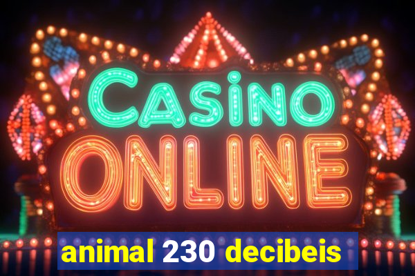 animal 230 decibeis