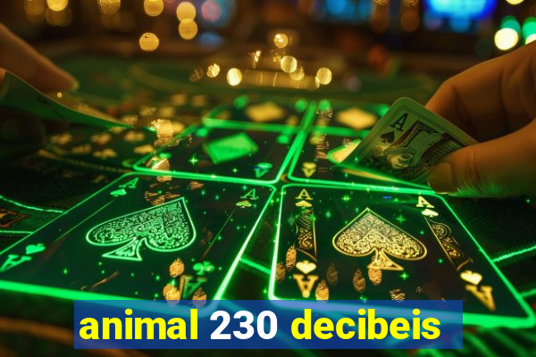 animal 230 decibeis