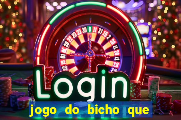 jogo do bicho que paga no pix