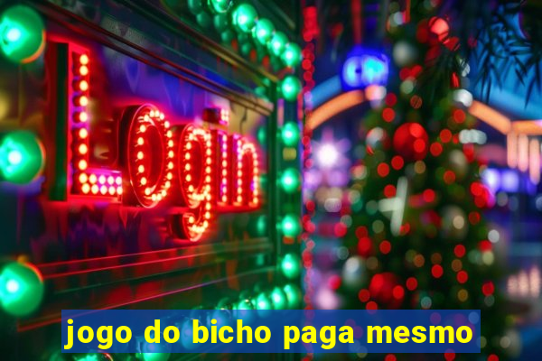 jogo do bicho paga mesmo