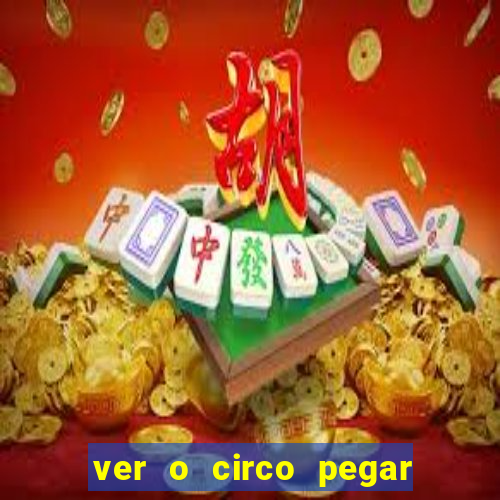 ver o circo pegar fogo significado