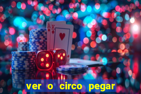 ver o circo pegar fogo significado