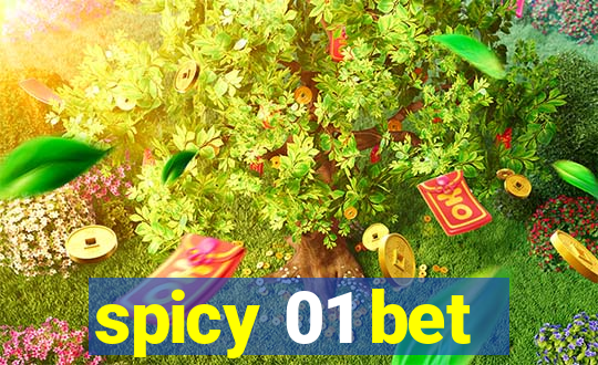 spicy 01 bet