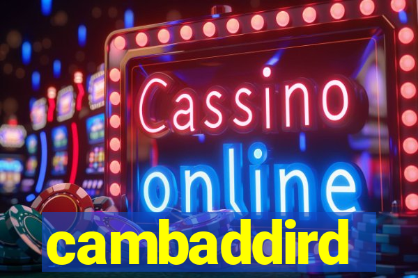 cambaddird