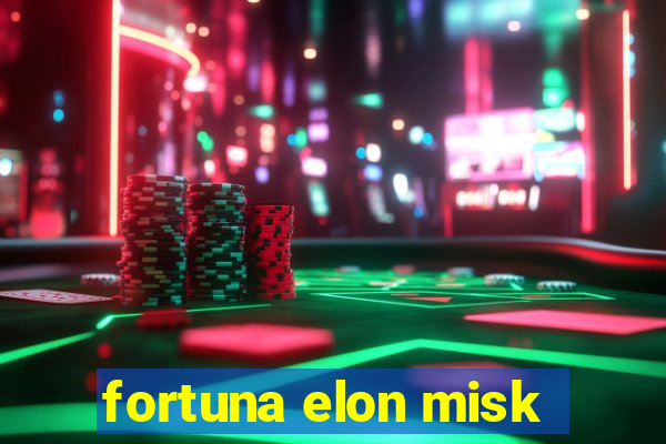 fortuna elon misk