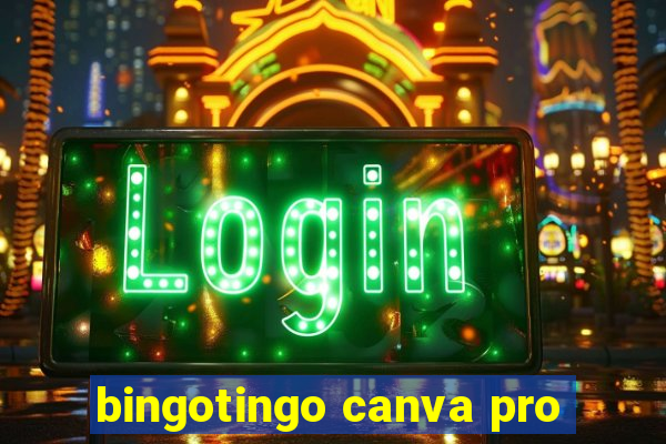 bingotingo canva pro