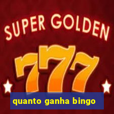 quanto ganha bingo