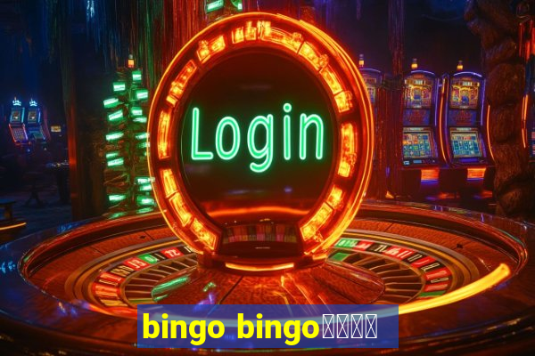 bingo bingo線上投注