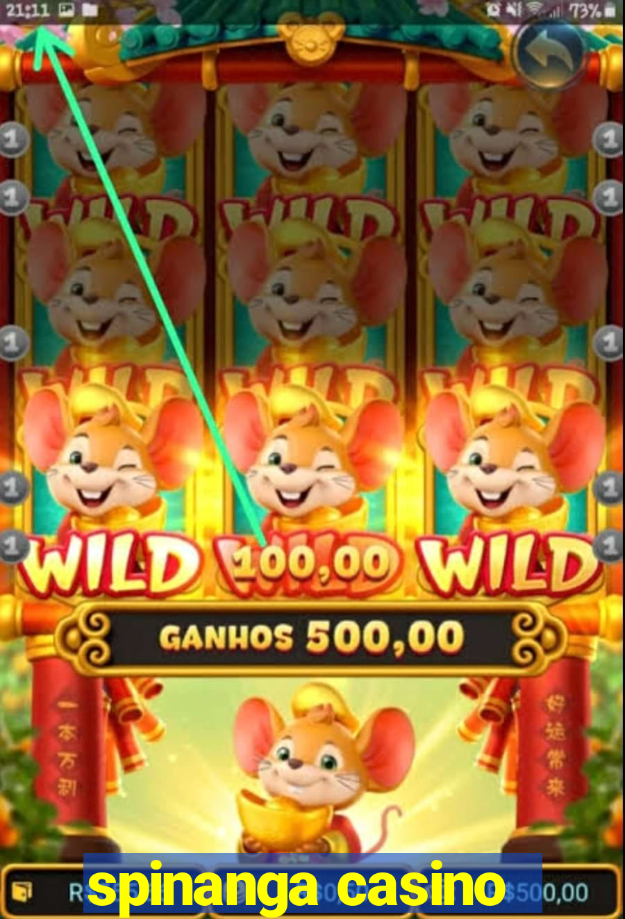 spinanga casino