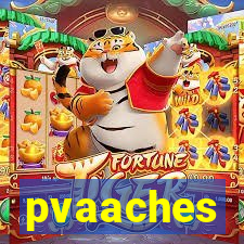 pvaaches