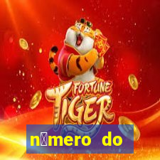 n煤mero do bate-papo da vivo