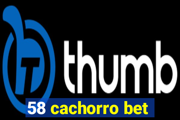 58 cachorro bet