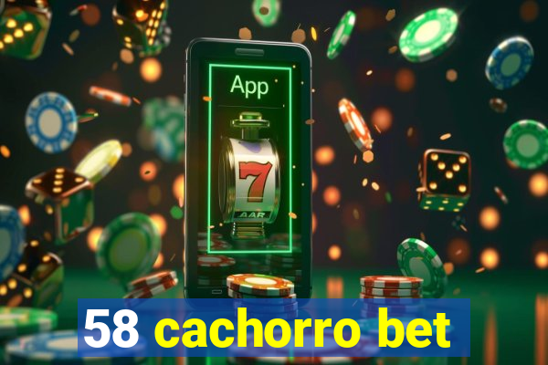 58 cachorro bet