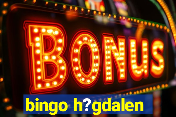 bingo h?gdalen