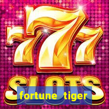 fortune tiger grátis pg