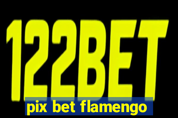 pix bet flamengo