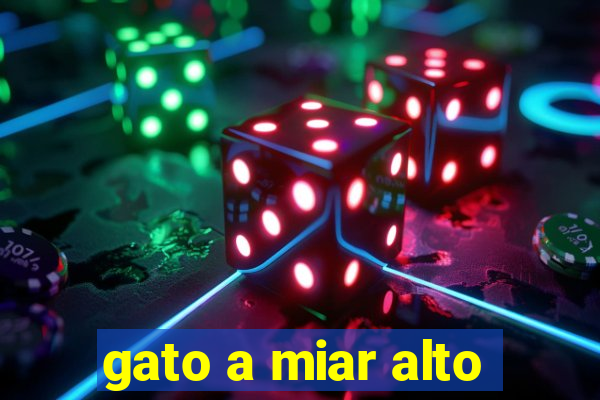 gato a miar alto