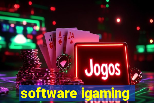 software igaming