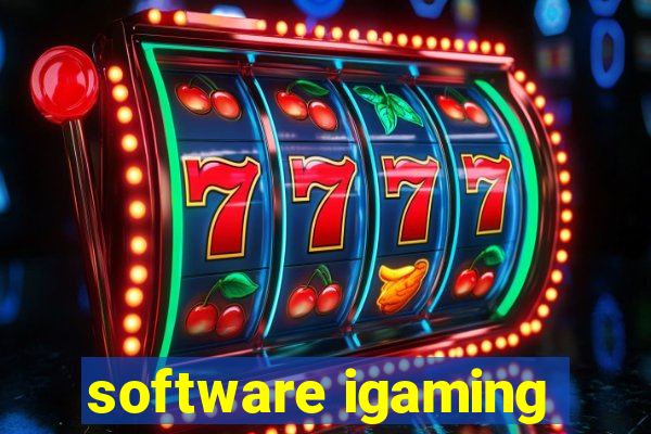 software igaming